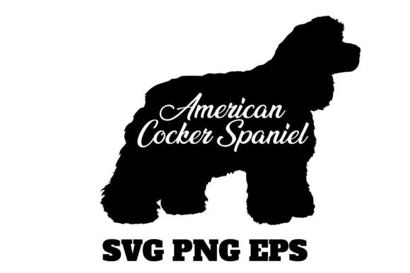 American Cocker Spaniel