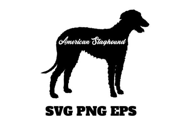 American Staghound Dog Breeds