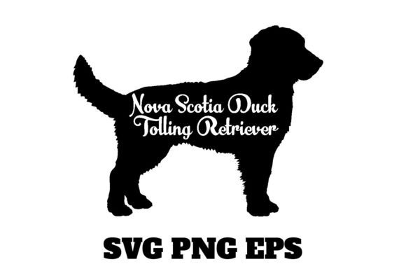 Nova Scotia Duck Tolling Retriever