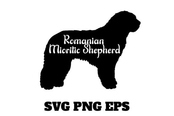 Romanian Mioritic Shepherd Vector