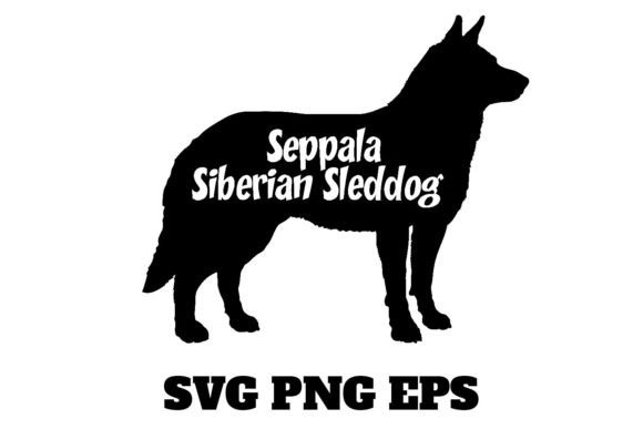 Seppala Siberian Sleddog Dog